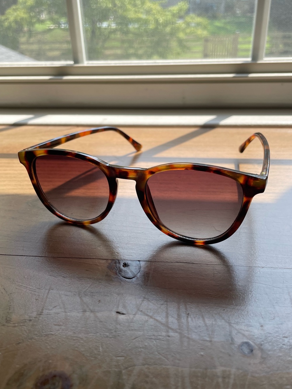Simple Tortoiseshell Sunglasses - Picture 2 of 3